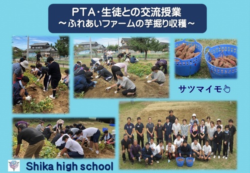 芋掘り収穫 芋掘り収穫