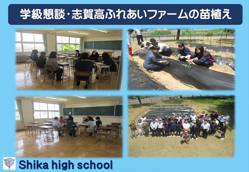 野菜の苗植え等