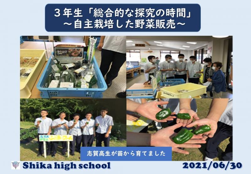 R3_自主栽培した野菜を販売した