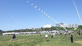 RIMG4729