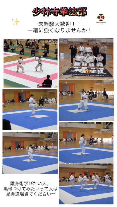 部紹介　とわこ