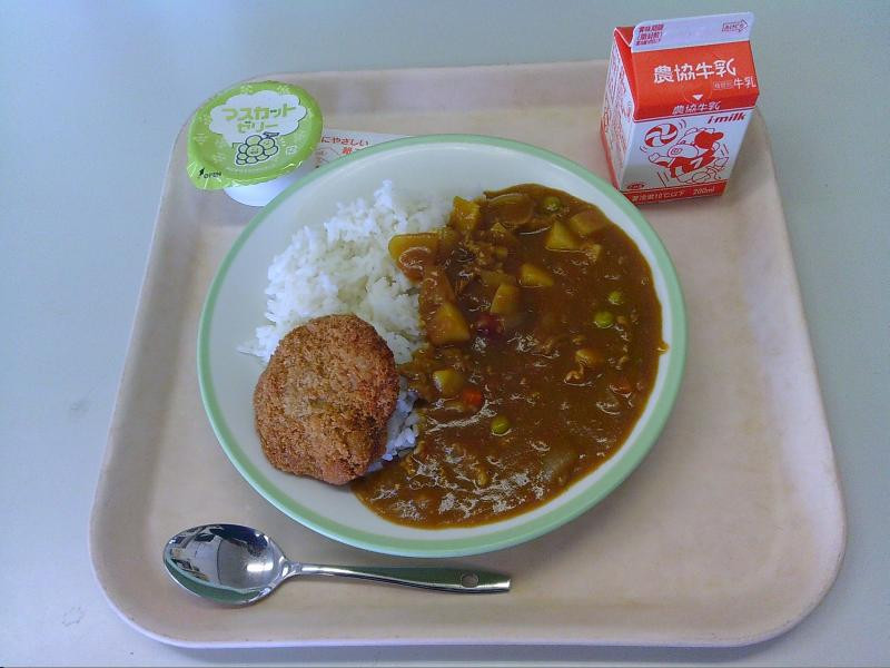 SUNP0004 (1)