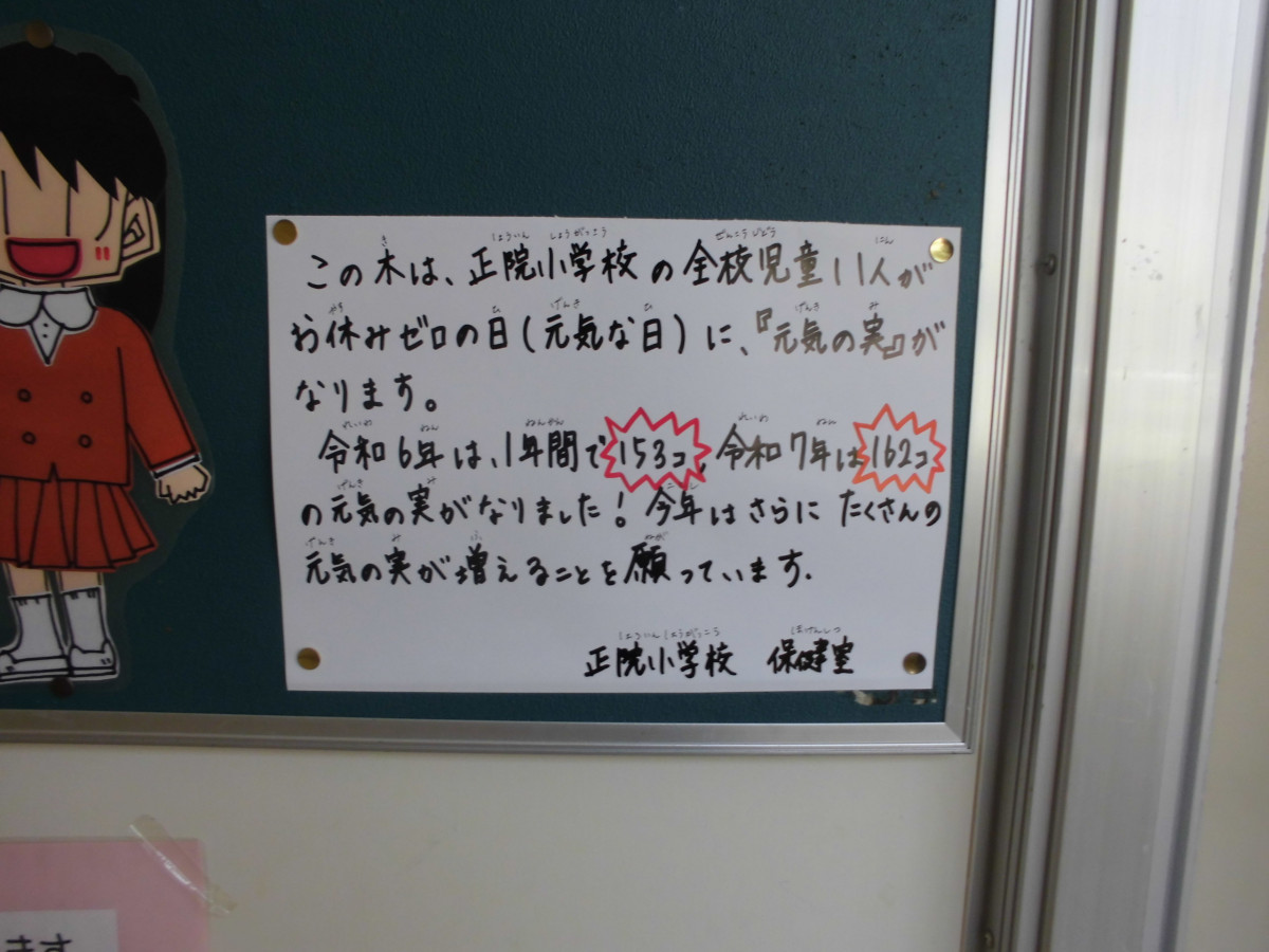 CIMG8566
