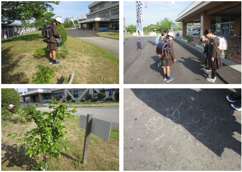 スクリーンショット 2026-05-19 174927