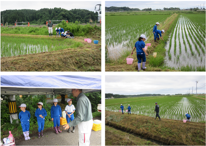スクリーンショット 2026-06-09 220942