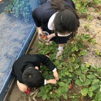 こっちも見てみよう