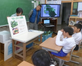 ブロッコリー教室