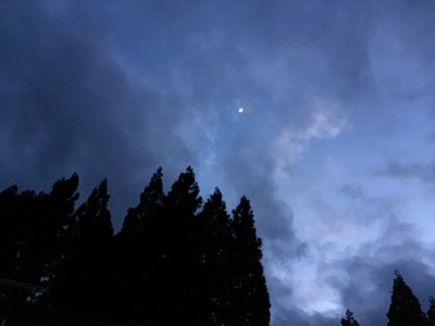 IMG_4398