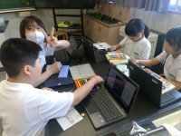 WIN_20260703_14_41_41_Pro