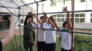 IMG_2640(2)