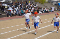 DSC01387