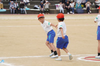 DSC05530