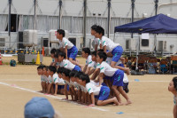 DSC01958