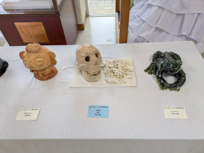 PXL_20260203_064932628