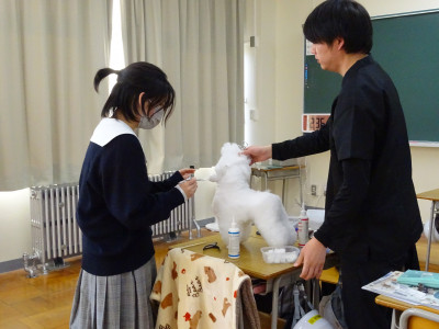 投稿順04_ペット