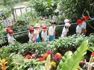 えんそく　昆虫館