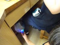 工作クラブは光るうちわをつくりました