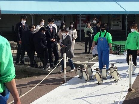 越前松島水族館②