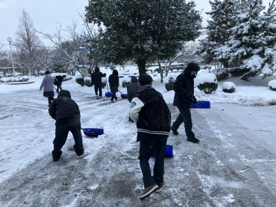 2026-01-23_08-03-33_945