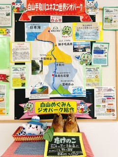 朝掘り筍展示2
