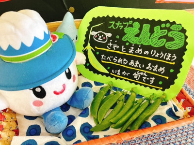 旬のスナップえんどう展示