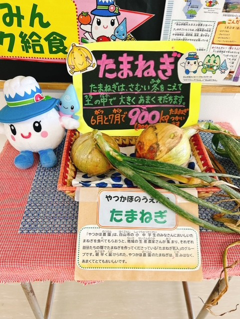 地産地消玉ねぎ展示