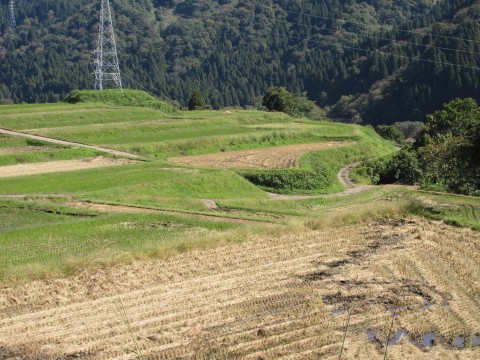 IMG_1336