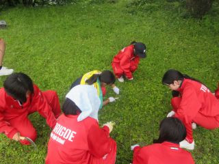 IMG_6577_Resize