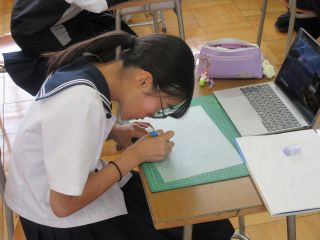 IMG_3011_Resize