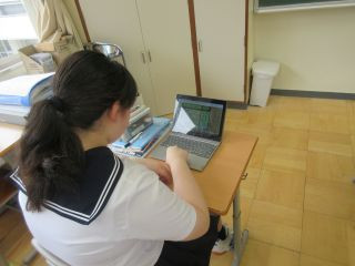 IMG_3146_Resize