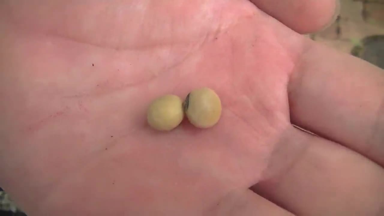 2d8564405030ff69aa1641374ed4e986