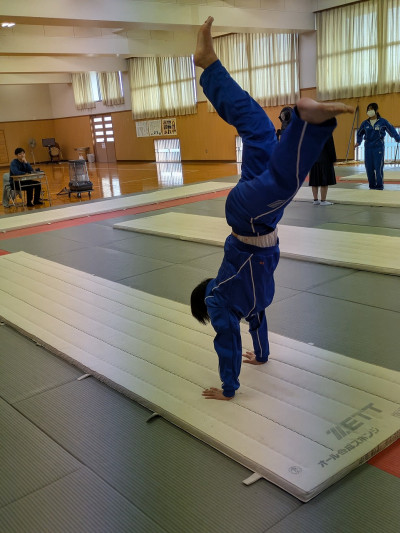 PXL_20260219_015142807.MP (002)