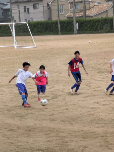 PXL_20260528_083749239 (002)