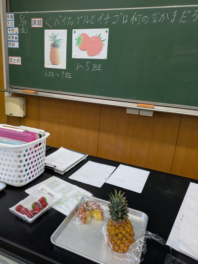 PXL_20260529_024756289 (002)