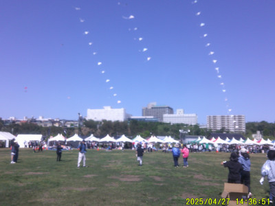 DSCF0001