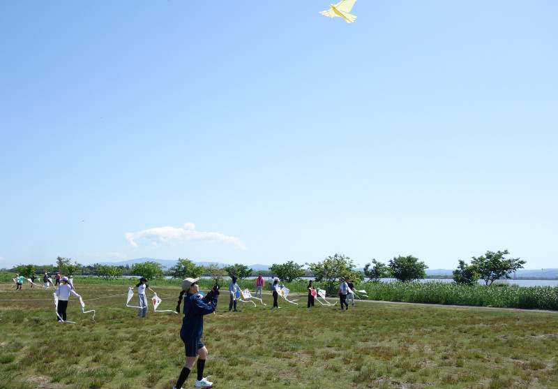 DSC08655