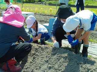 DSCF0540