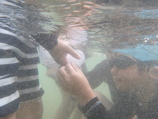 IMGP0670