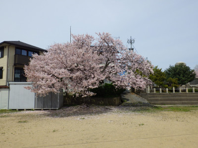 RIMG7677