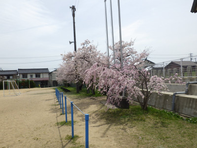 RIMG7676