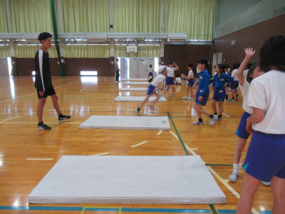HP1