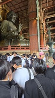 奈良①