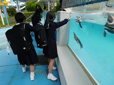 のとじま②