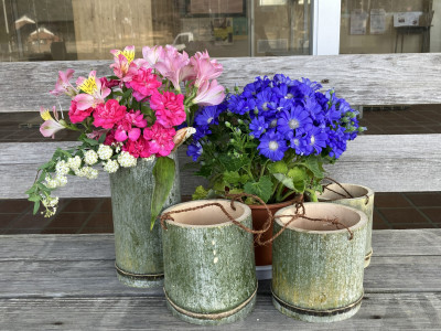 池田様寄贈花卉