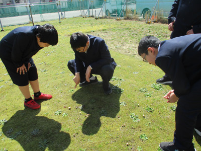 ハッピーライフ４