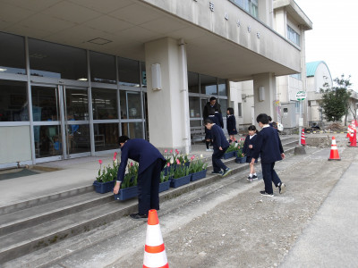 チューリップ移動２