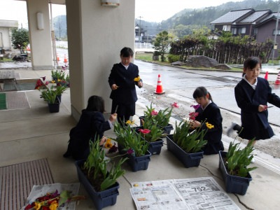 チューリップの花カット