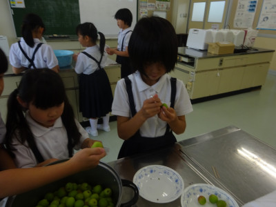 梅の軸とり