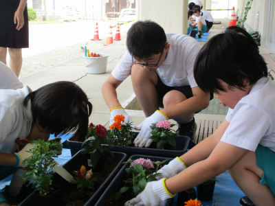 花苗植替え３