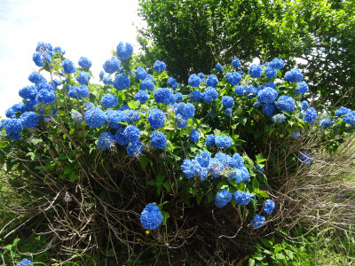 １２年生活町探検２